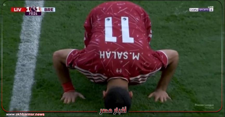 أخبار مصر 2050