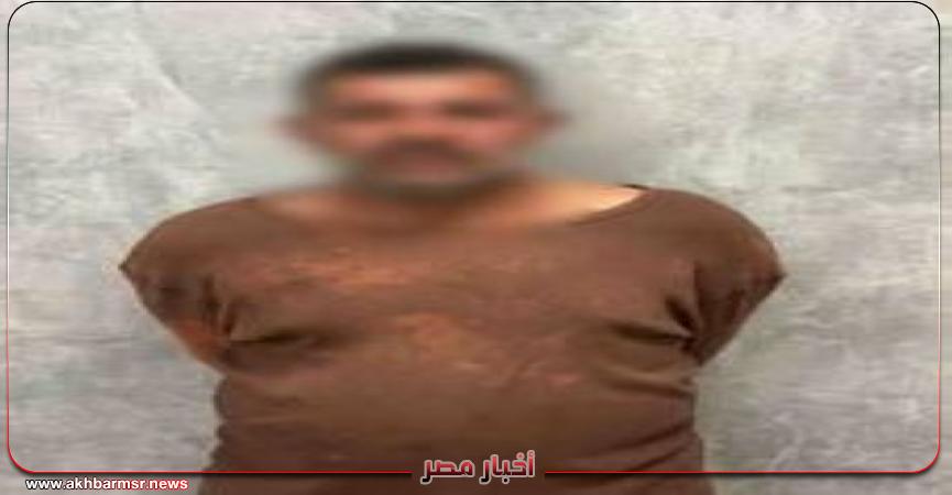أخبار مصر 2050