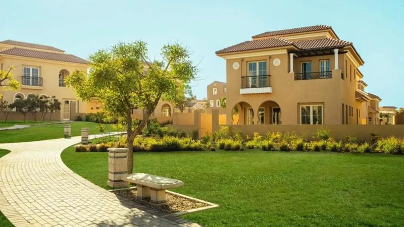 أخبار مصر 2050