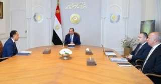 الرئيس السيسى يتابع رؤية وزارة التعليم العالى وخطتها خلال المرحلة المقبلة