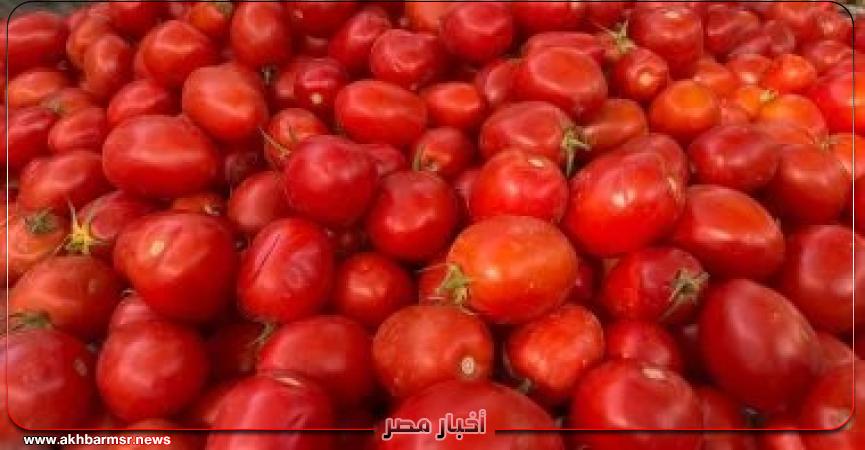 أخبار مصر 2050