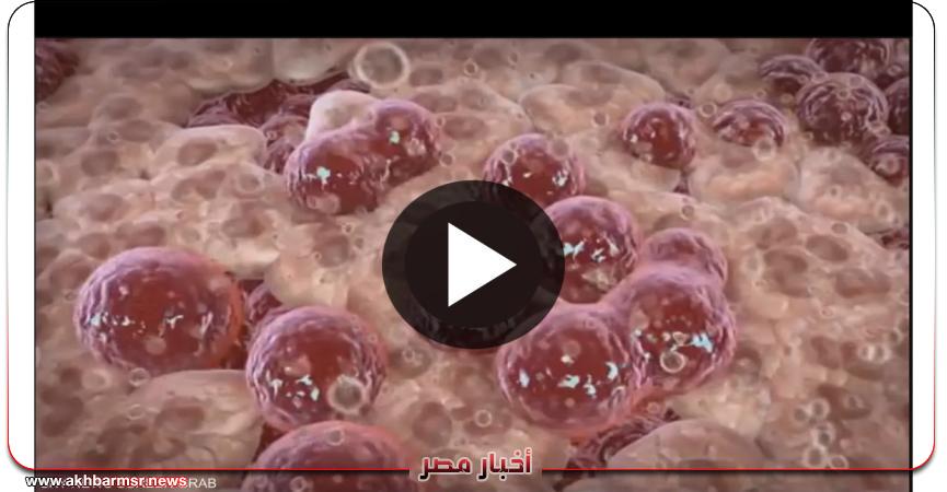 أخبار مصر 2050