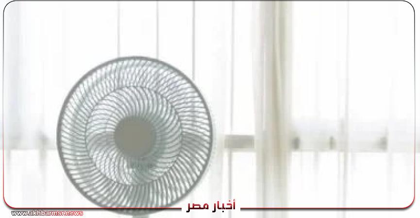 أخبار مصر 2050