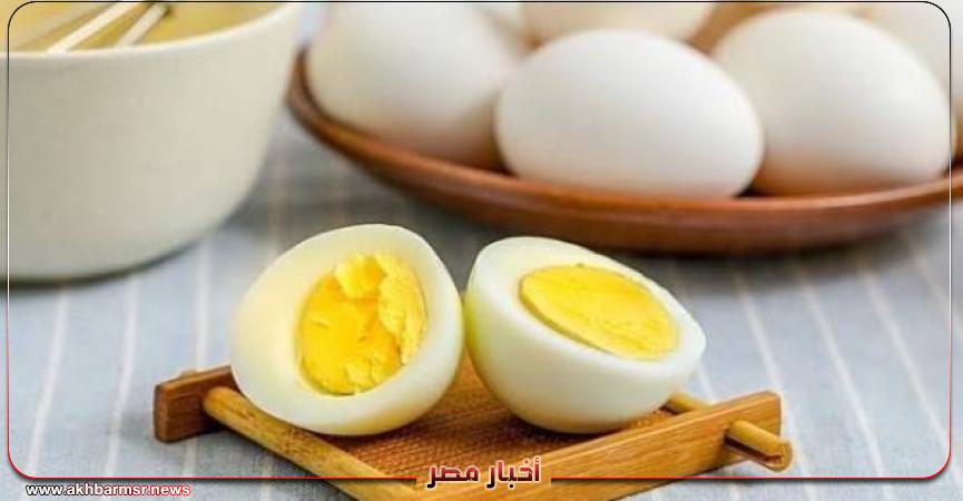 أخبار مصر 2050