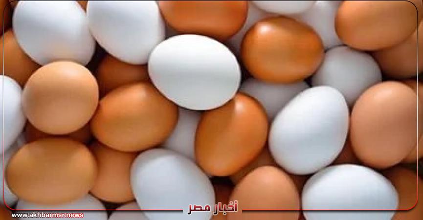 أخبار مصر 2050
