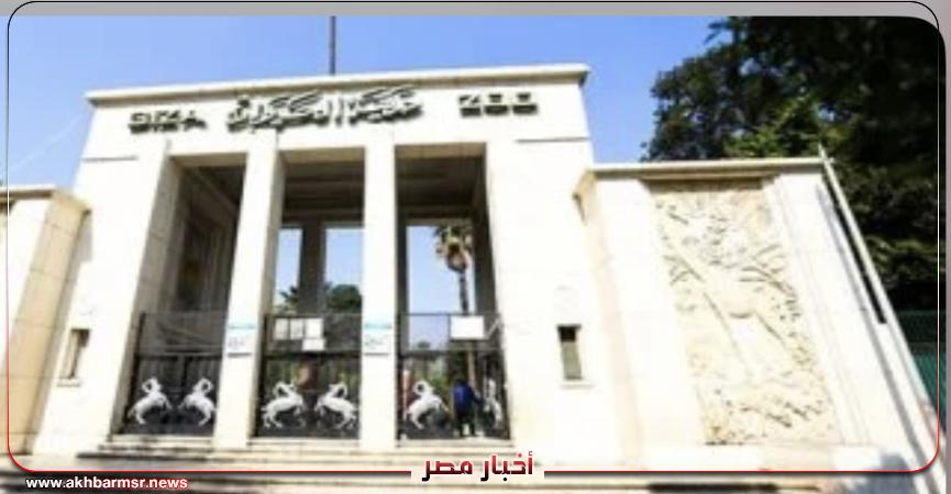 أخبار مصر 2050