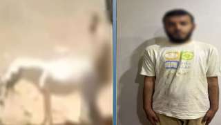 مريض نفسي.. ضبط المتهم بالتعدي على حمار بالقليوبية مريض نفسي.. ضبط المتهم بالتعدي على حمار بالقليوبية