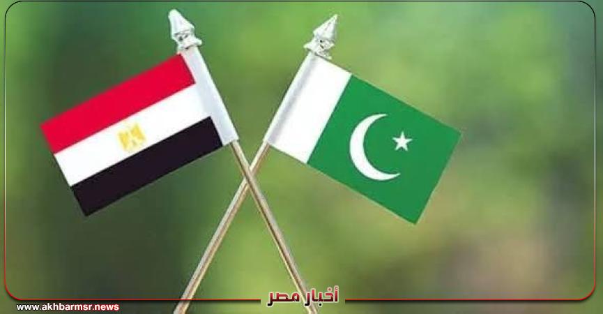 أخبار مصر 2050