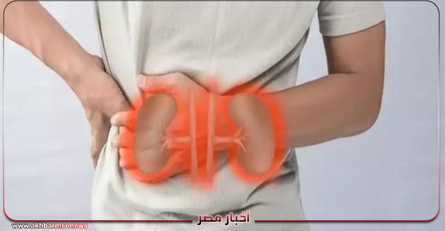 أخبار مصر 2050