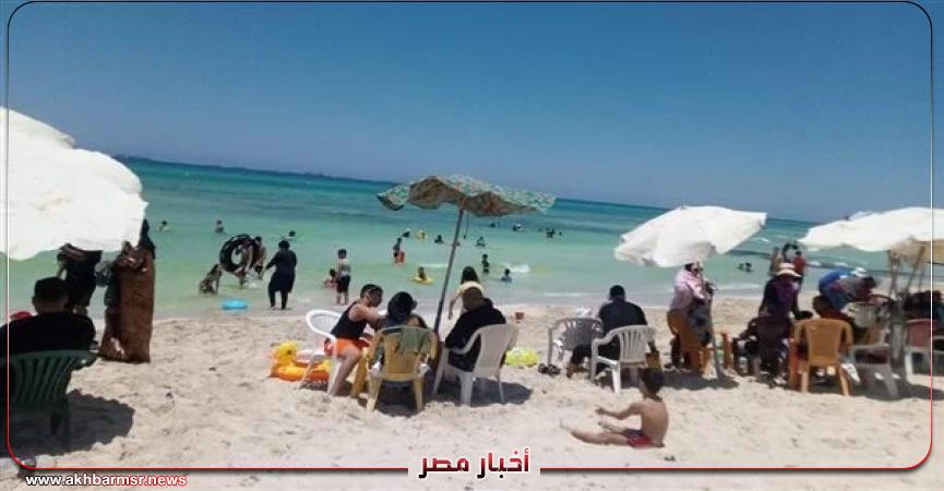 أخبار مصر 2050