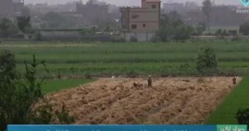 مركز المناخ يحذر: موجة شديدة الحرارة تضرب البلاد بدءاً من الجمعة المقبل
