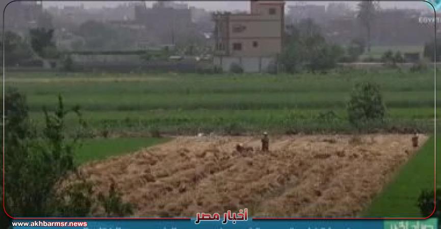 أخبار مصر 2050