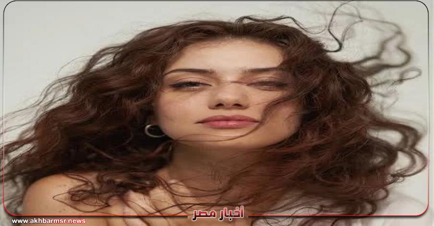 أخبار مصر 2050