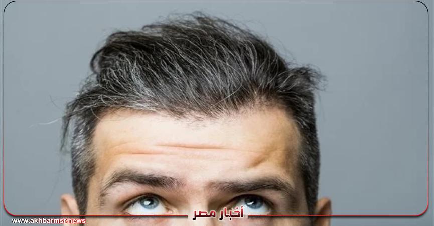 أخبار مصر 2050