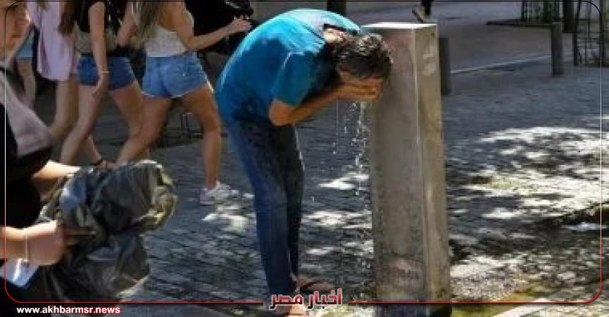 أخبار مصر 2050