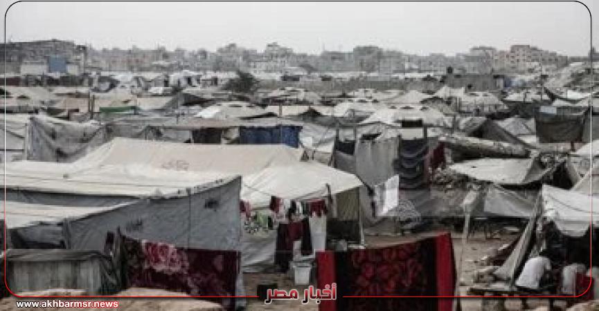 أخبار مصر 2050