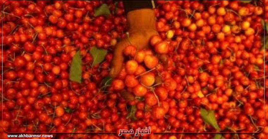أخبار مصر 2050