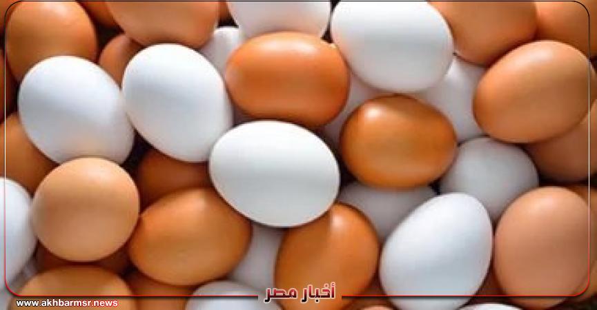 أخبار مصر 2050