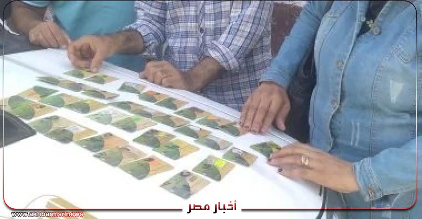 أخبار مصر 2050
