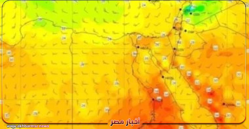 أخبار مصر 2050