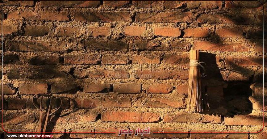 أخبار مصر 2050