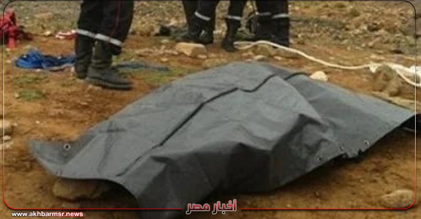 أخبار مصر 2050