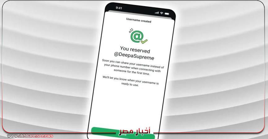 أخبار مصر 2050