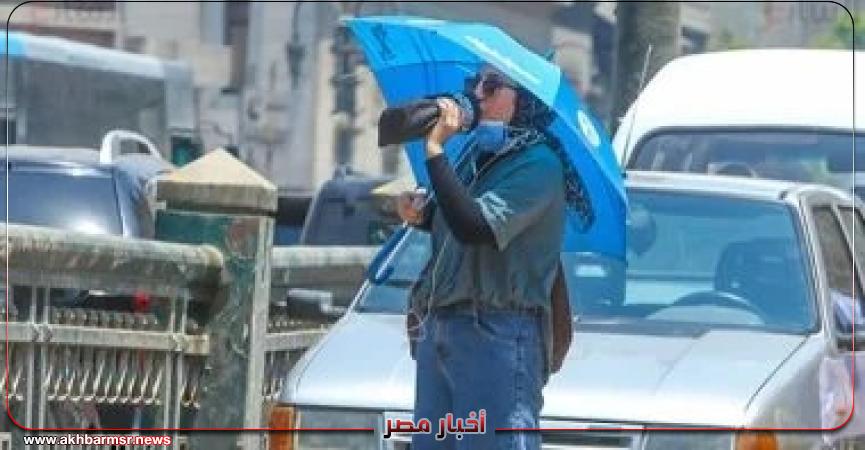 أخبار مصر 2050