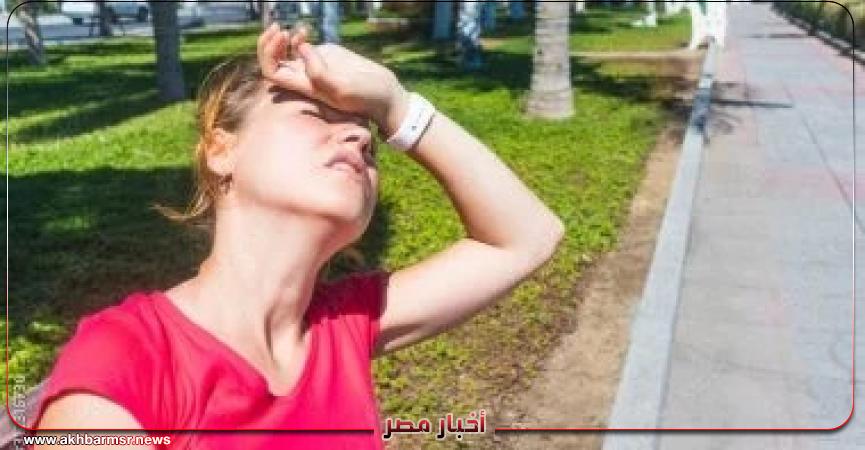 أخبار مصر 2050