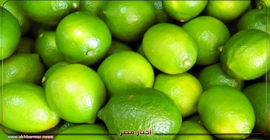 أخبار مصر 2050