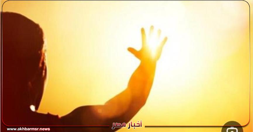أخبار مصر 2050