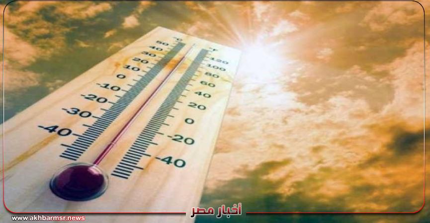 أخبار مصر 2050