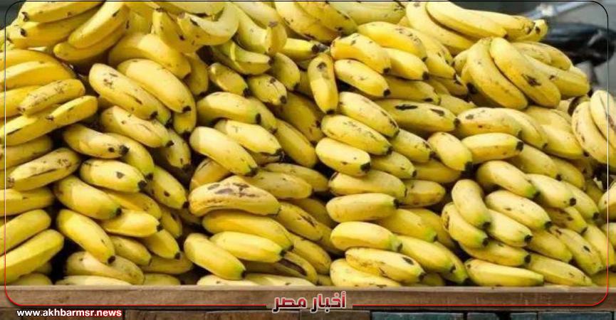 أخبار مصر 2050