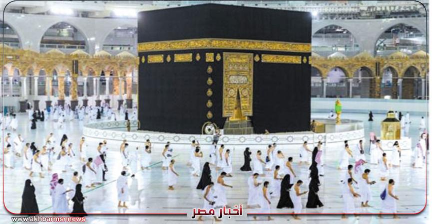 أخبار مصر 2050
