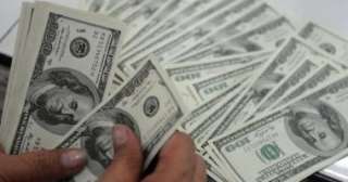 استقرار سعر الدولار مقابل الجنيه فى بداية تعاملات اليوم الثلاثاء