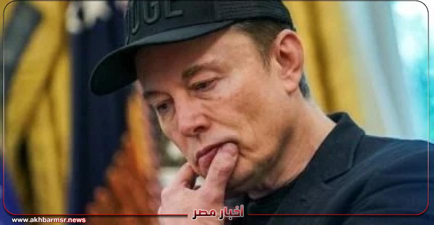 أخبار مصر 2050