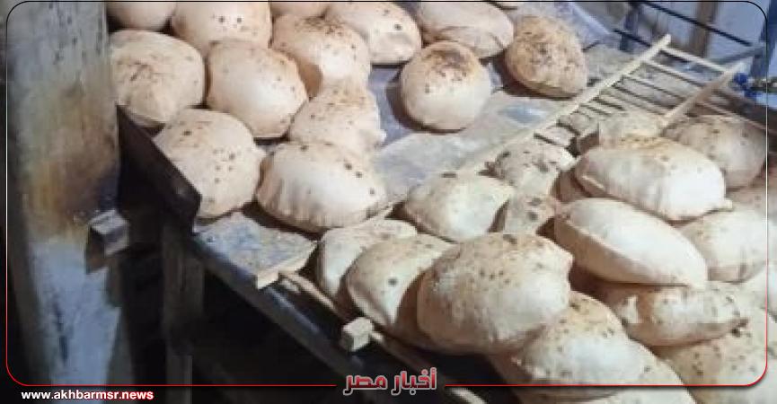 أخبار مصر 2050
