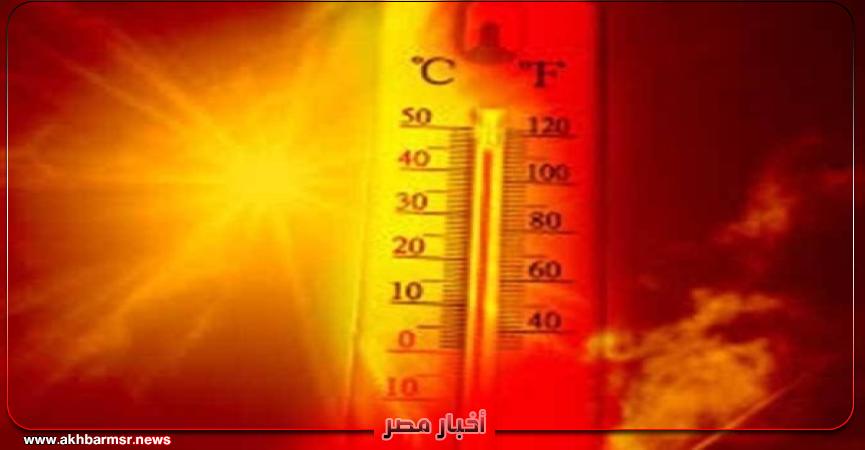 أخبار مصر 2050