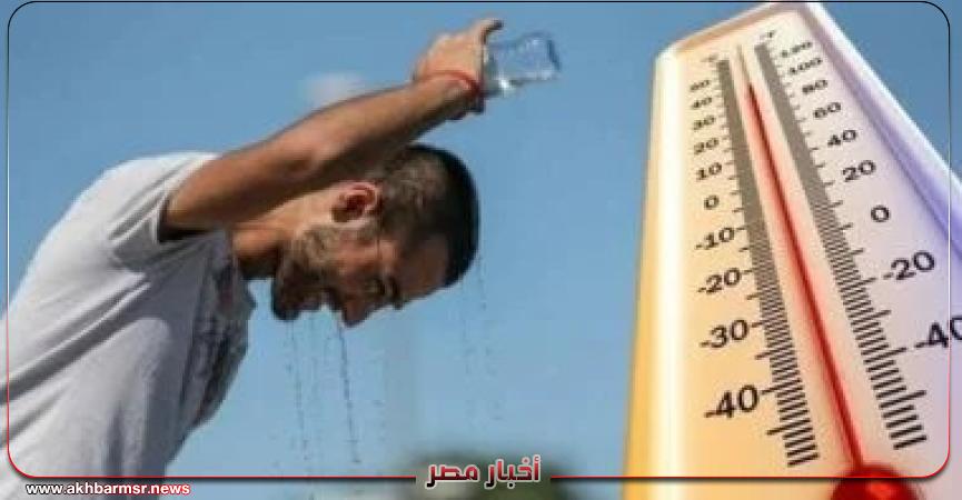 أخبار مصر 2050