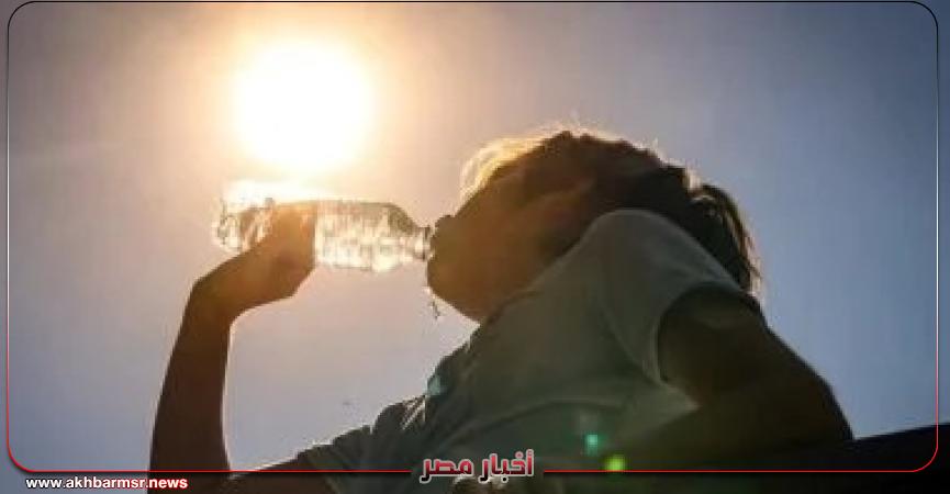 أخبار مصر 2050