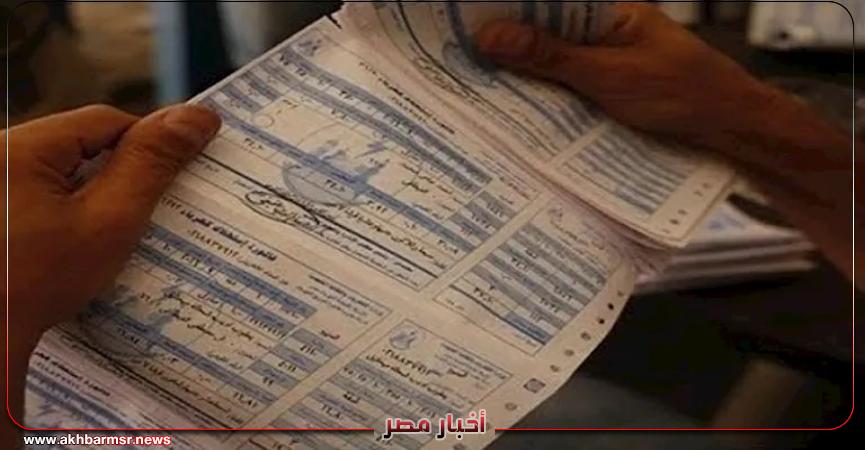 أخبار مصر 2050