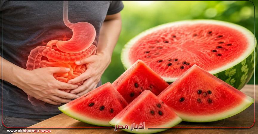 أخبار مصر 2050