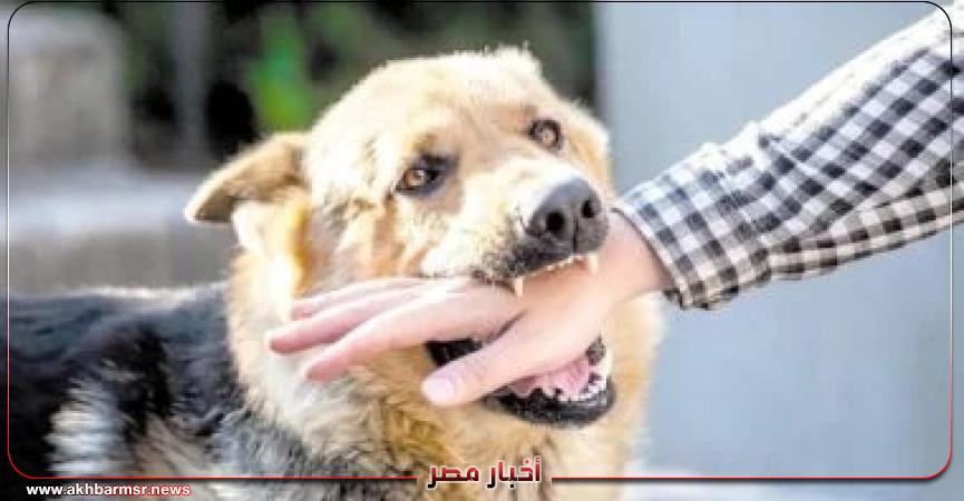 أخبار مصر 2050